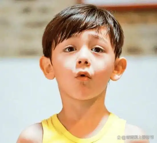 刘烨儿子才是"驻颜式"长大,五官虽然没怎么变,混血味却越来越浓