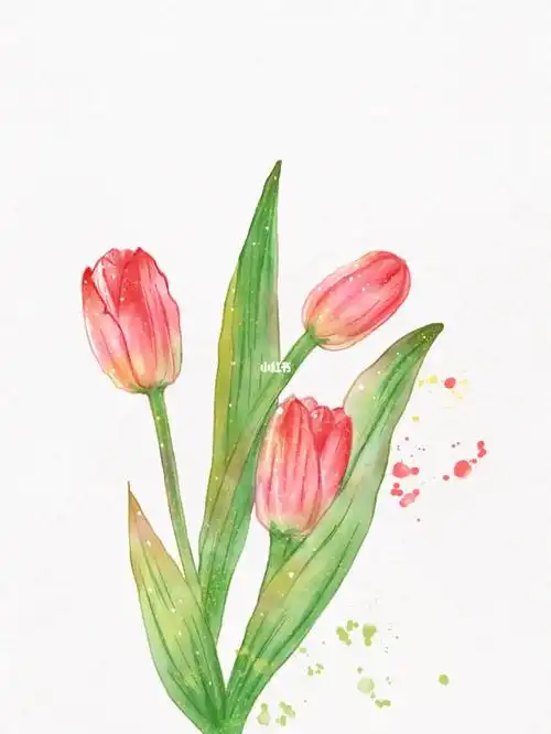 水彩小物郁金香