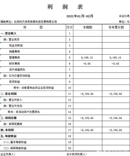 内部设置好的函数公式,可自动核算,生成记账凭证,财务报表等