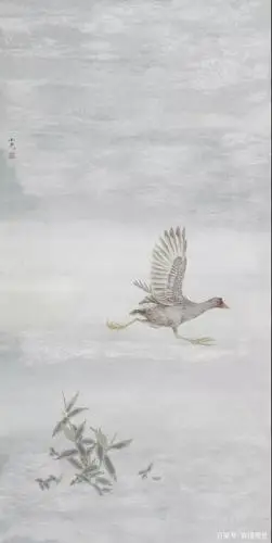 鸟和人,同为众生