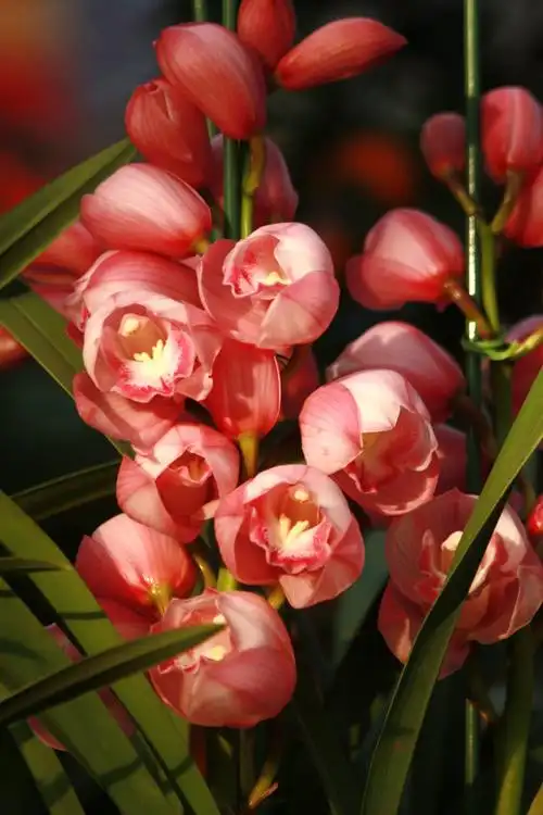 如发现有害或侵权内容,请点击一键举报.