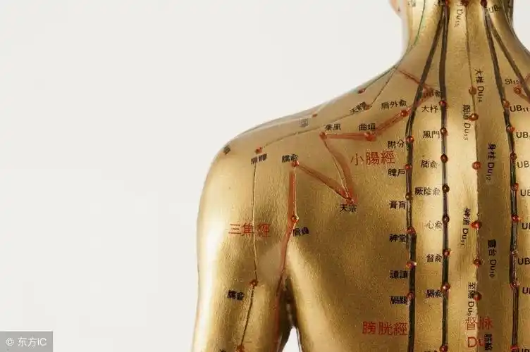 刮痧是什么为什么年轻人不要拔罐