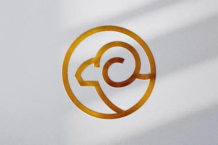 高品质的黄金和白银logo标志设计vi样机展示模型mockups