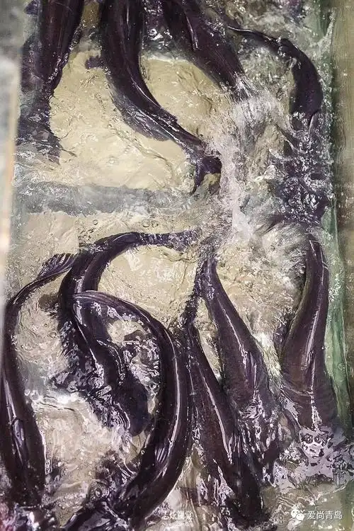 活鱼现杀现片三煮第一法宝小编发现"三煮纸包鱼"有三大法宝.