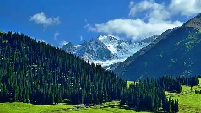 中国最美的十大森林及推荐住宿