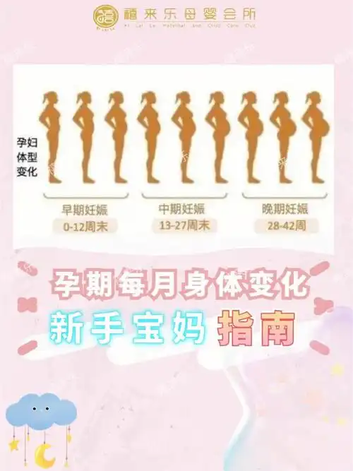 怀胎10月身体变化指南