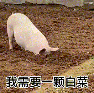 300_299gif 动态图 动图