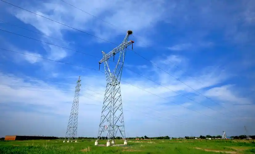 东方白鹳高压电塔上筑巢"生娃" 三方携手安顿新家_幼鸟_林甸县_输电