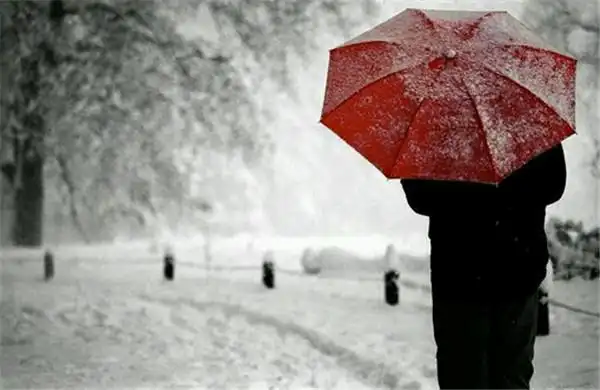 一个人的背影 这些年 一个人风也过雨也走(8)_唯美图片