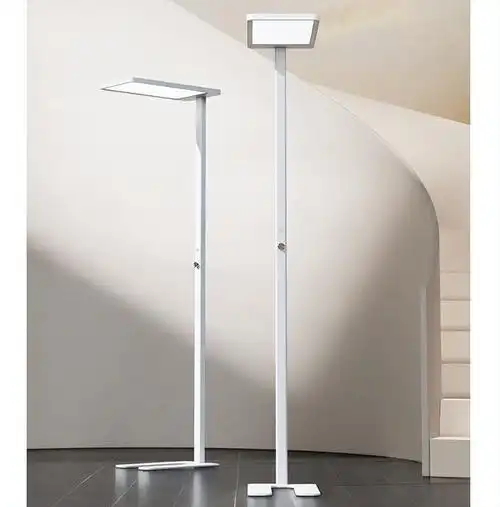 落地式台灯开始流行,动辄2000,3000元,看看都有哪些功能