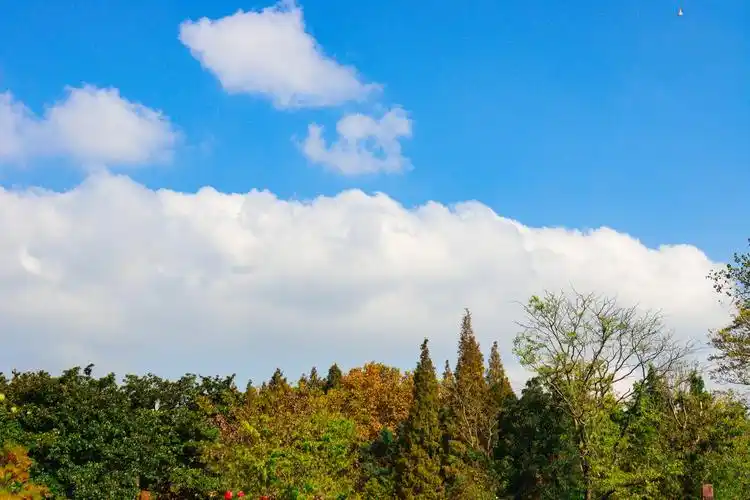 蓝天白云,绿叶红花,大桥江流 - 棒棒张瀚文 - 图虫