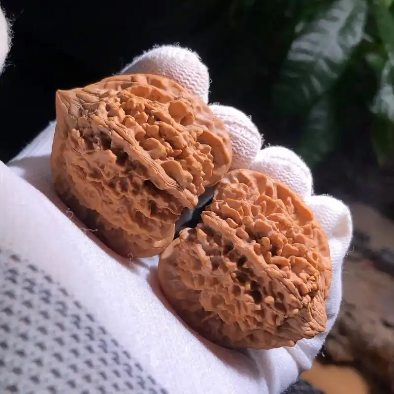 【造玩物】#文玩核桃 42mm老款满天星百花山狮子头【编号 - 抖音