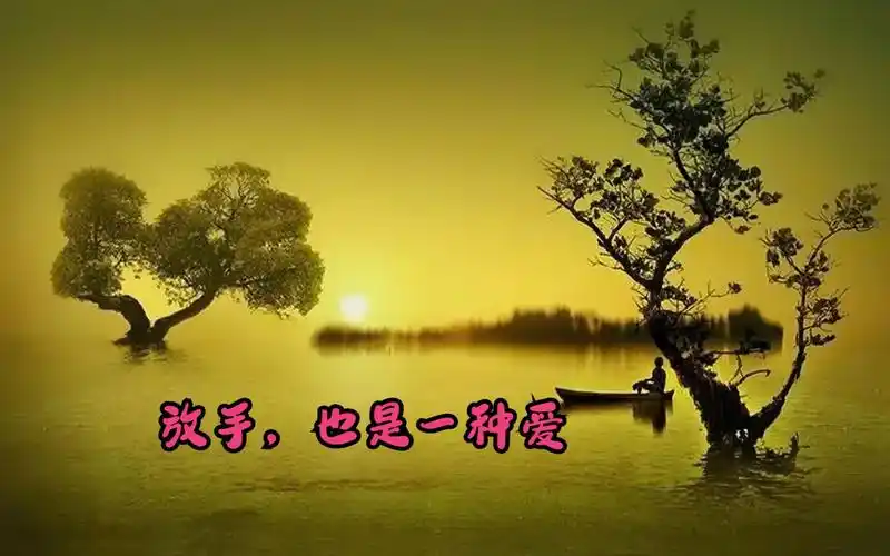 放手,也是一种爱