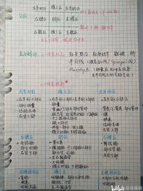 局部解剖学手写笔记腹前外侧壁胸前壁上肢无三角肌肩胛腕手