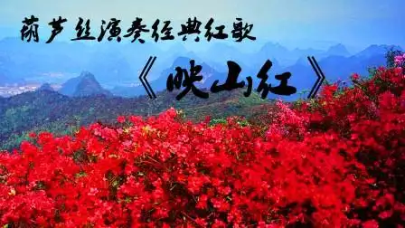 葫芦丝演奏经典红歌《映山红》,共同致敬英雄们