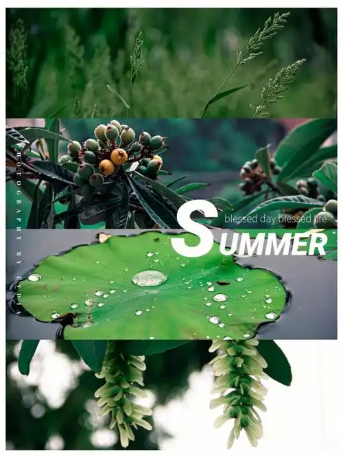 平凡摄影|lr调色|电影氛围感森系墨绿色调