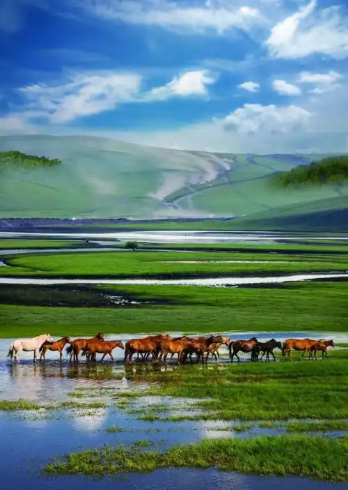 中国6种草原风景,你去过几个?