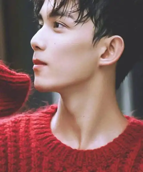 吴磊近期角色名,向往的生活3吴磊是哪一期