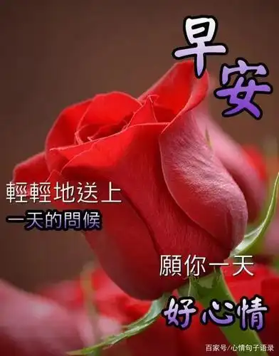 早上好动态带字问候图片,早安正能量励志语录