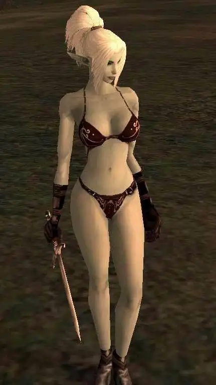 组图游戏裸体补丁横行网络趋于泛滥