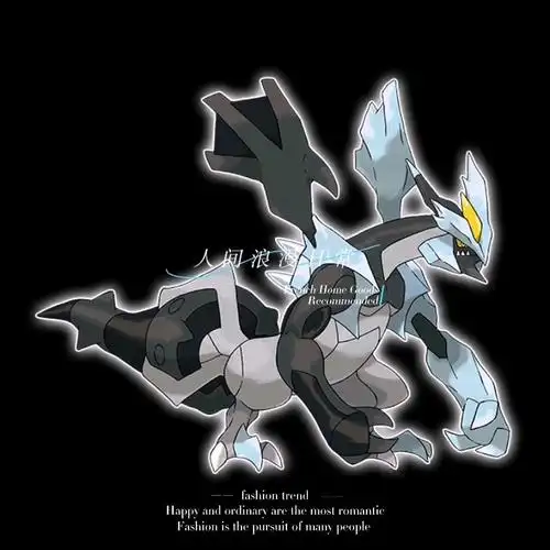 宝可梦 图鉴 第15名 暗黑酋雷姆