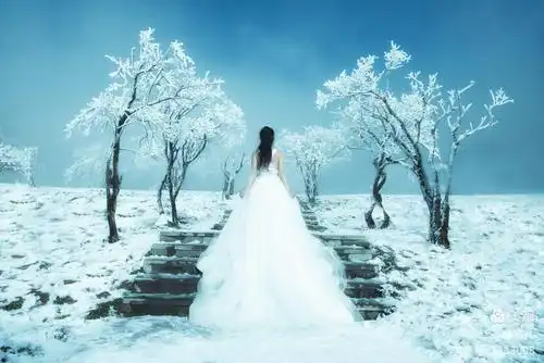 其它 飘雪的季节～ 写美篇把爱深藏 饮一壶浊酒忘记昨日的忧伤 淡淡的