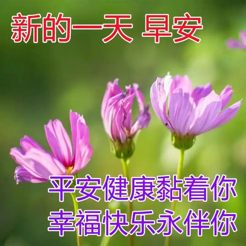 清晨早上好漂亮图片问候祝福语 早晨好暖心祝福短信