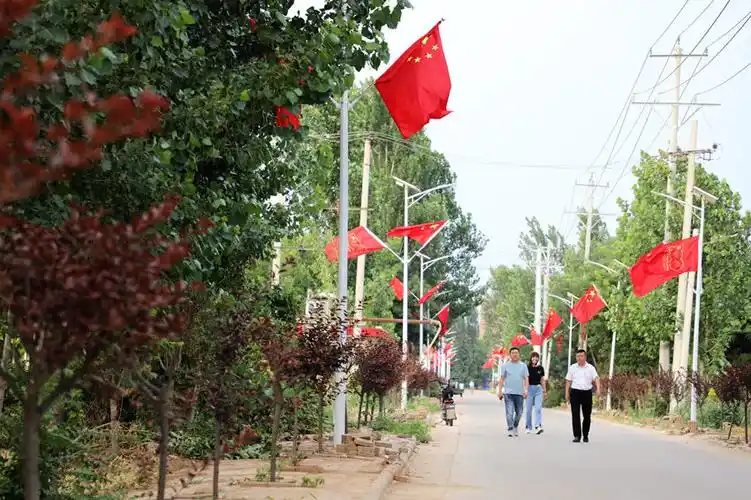 【图片直击】河北平乡:小村庄党旗红