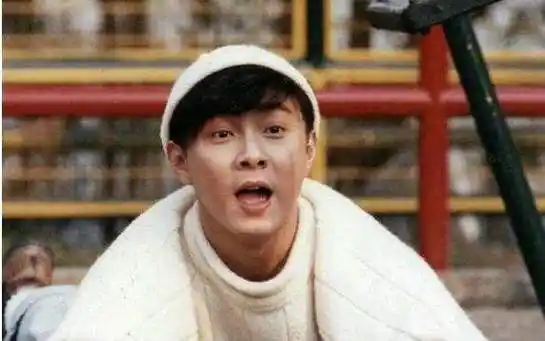 张卫健为什么遭卫视封 张卫健因为什么退出娱乐圈-启趣星座网