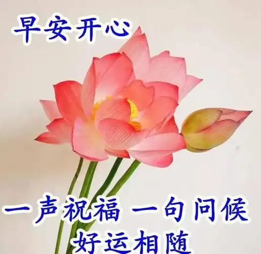 非常漂亮的微信朋友圈早上好心情感悟新版早上好祝福语图片