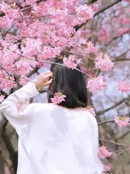 藏在彭山的世外桃"园"!|花丛|花朵_网易订阅