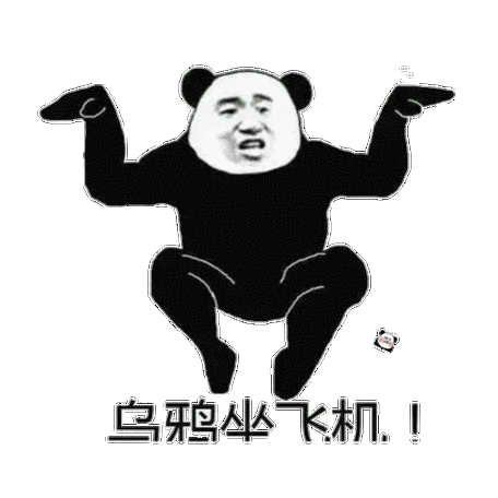 乌鸦坐飞机