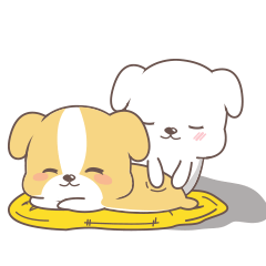 茶杯狗微信表情第一弹