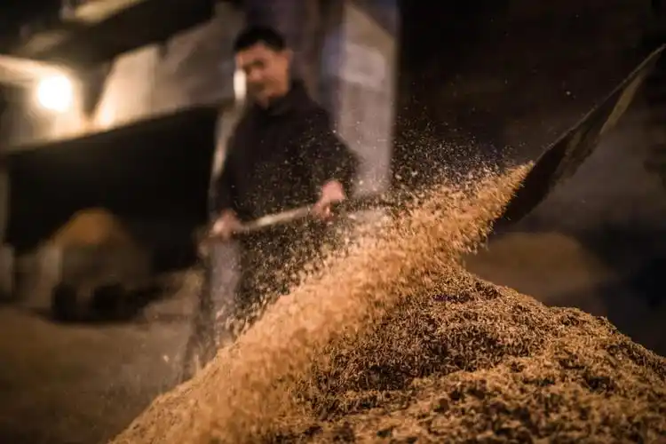 如何感受五粮液700年的活窖之美?听"ta说"