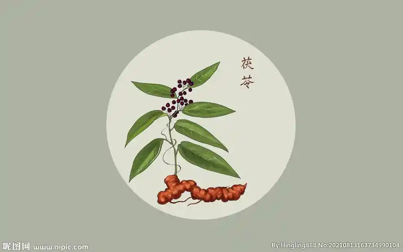 psd(cc)颜色:rgb元(cny)举报收藏立即下载关 键 词:茯苓插画 手绘茯苓