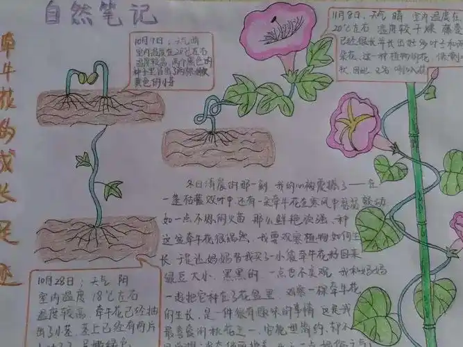 佩服你 善于观察记录的小孩子