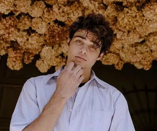 1年吸粉1300w致我曾爱过的男孩中迷倒众人的男主noahcentineo做到了