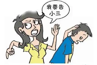 女子凭借前夫转账记录起诉小三追回60万