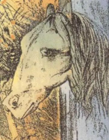 这组照片太神奇,倒过来看,居然是另一个世界