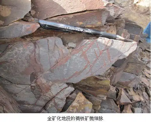 北山地调项目发现微细浸染型金矿