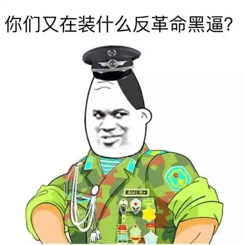 你们又在装什么反革命黑逼?-表情图片-斗图表情包-表情包网站