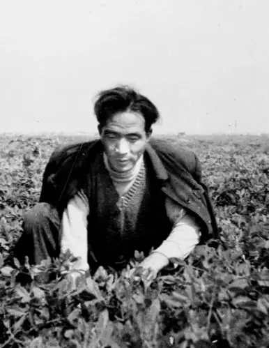 我们的传家宝丨焦裕禄精神