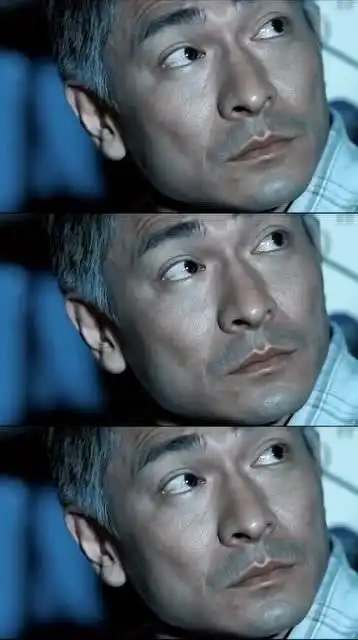 头发花白的刘德华看着也很帅,不过这个角色却有点坏