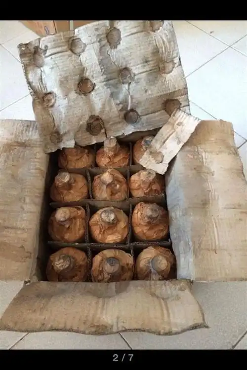 贵州窖藏老酒出土:1987年茅浆窖,正品茅台镇老酒