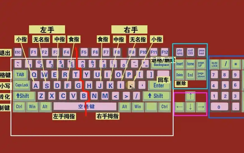 零基础学电脑打字,快速学会键盘打字,适合初学者学习