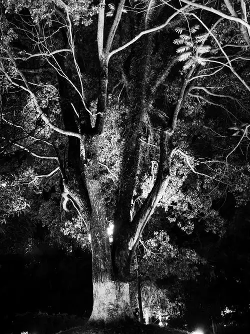 黑白灰 —— 静谧 简洁 唯美