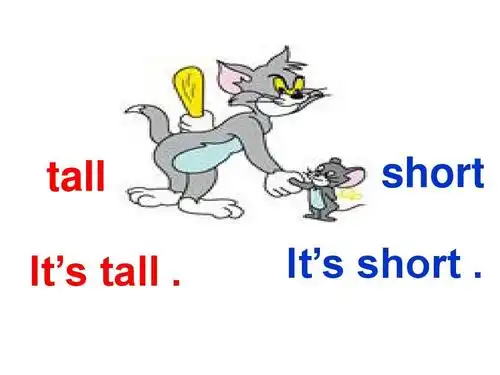 北师大版三年级下册英语at_the_zoo课件.tmp