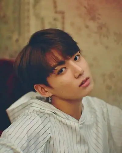 bts个人合集 金泰亨金硕珍闵玧其郑号锡朴智旻金泰亨田柾国防弹少年团