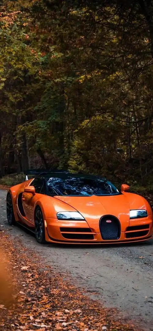 橙色布加迪超跑特别版竖屏壁纸