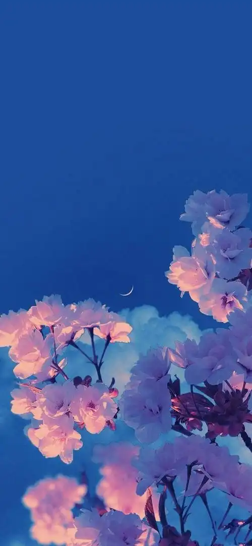 朋友圈的小众文案,干净走心,总有一句适合你!